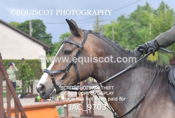 JAC_9703 - CLASS 2 Novice Working Hunter (0.60m - 0.70m)