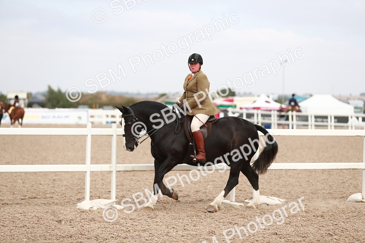 SBM_16700 - Class 214 Ridden Cob