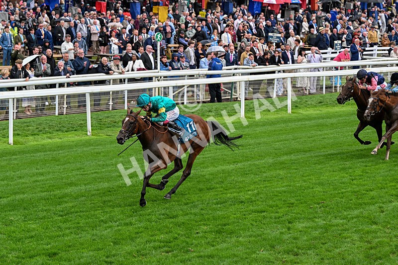 200826-Race 5-Prizeland-0657 - Race 5 16.10pm British EBF & Sir Henry Cecil Galtres Stakes