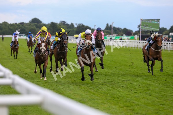 140624-Race 5-Invisible Friend-5751 - Race 6 4.45pm Irish Thoroughbred Marketing Handicap