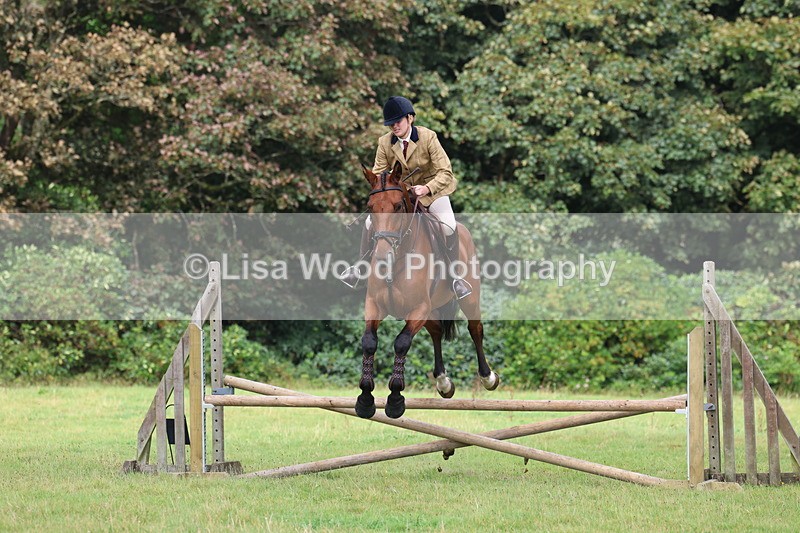 3E7A5820 - Class 26 and 27: 70cm Working Hunter