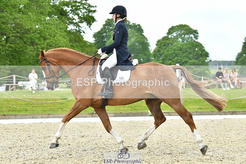 230525-121932-04226 - 208-NICO-Holly_Clarke-WEDTrotUp+DR