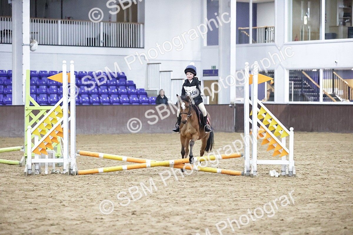 SBM_002978 - Class 1 - 40cm