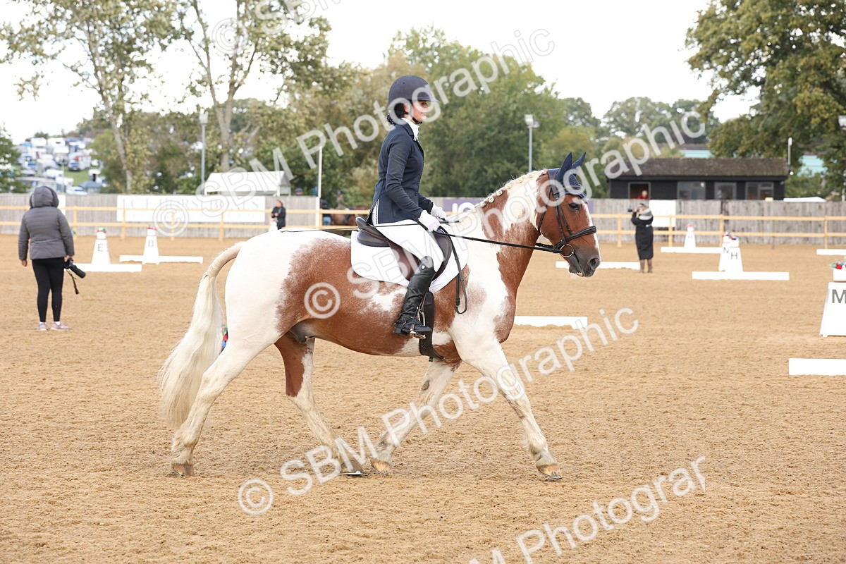 SBM_47464 - D12 - Small Tour Championship prelim 2