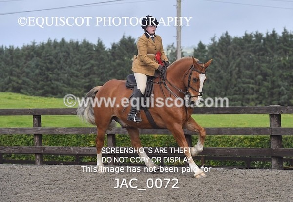 JAC_0072 - CLASS 3 Intermediate Working Hunter (0.70m - 0.85m)