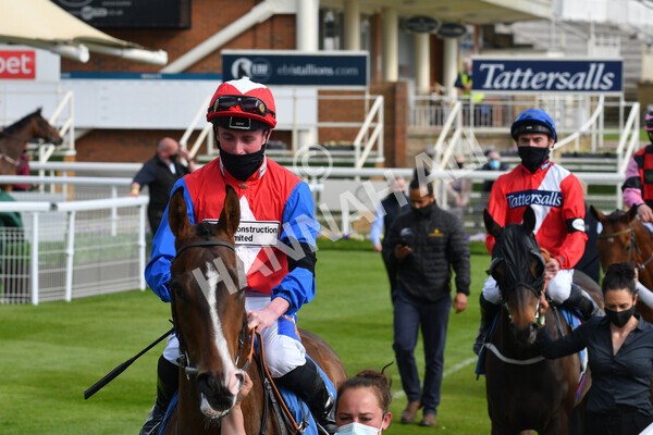yr12052021r7-11 - Race 7 4.50 pm Conundrum HR Consulting Stakes