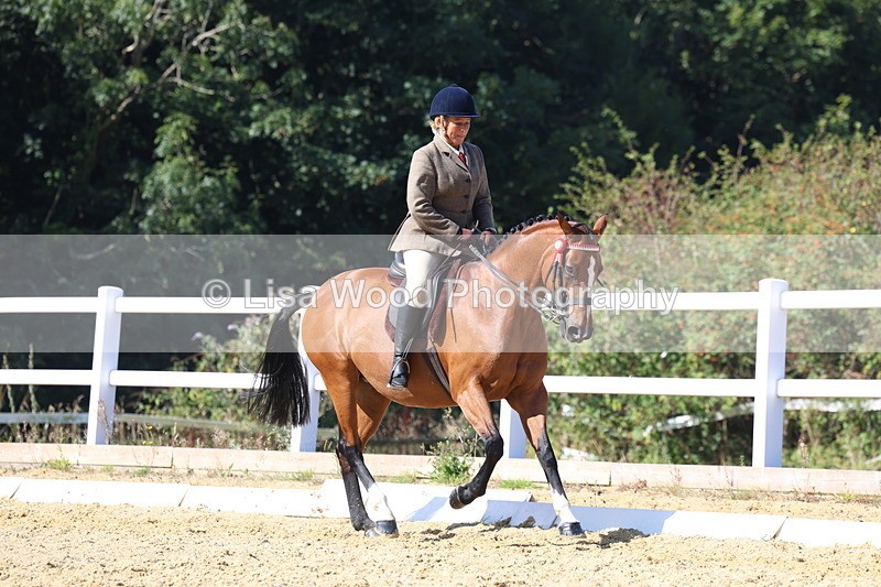 3E7A5703 - Class 10: Riding Horse