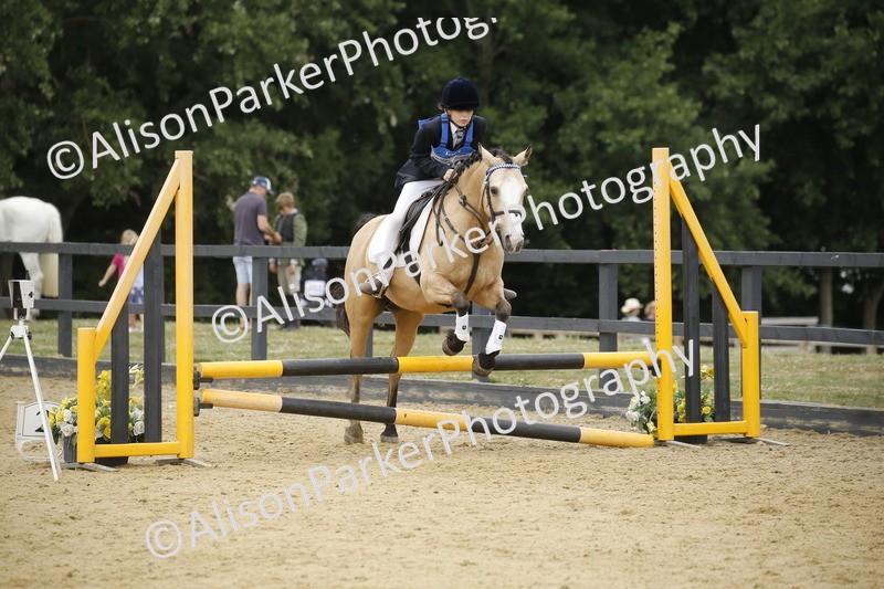 20250622-6032 - 60cm