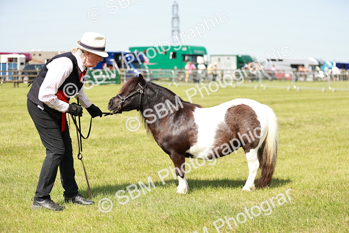 SBM_02012 - Class 14-23 - Mountain & Moorland In Hand Non Welsh