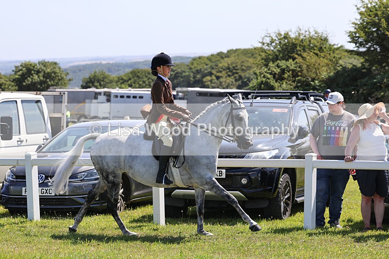 IMG_2178 - Class 36: Part Bred Ridden M & M