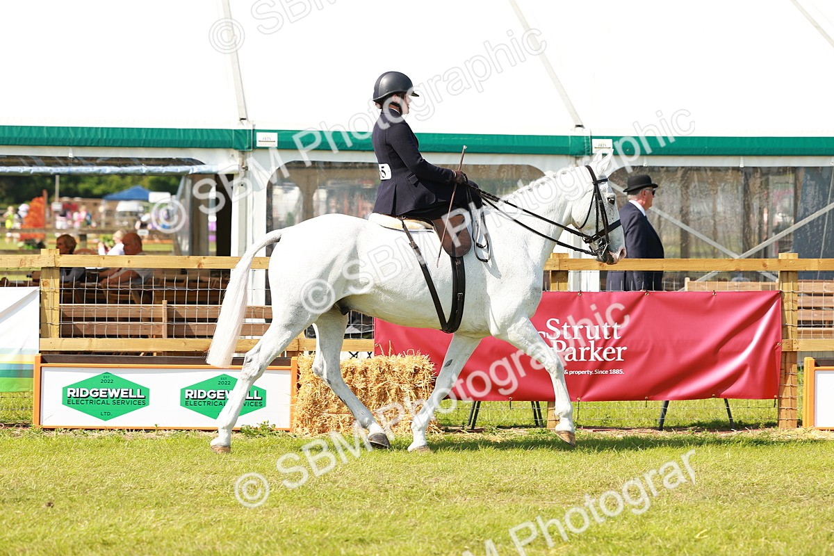 SBM_13110 - Class 70-71 - Side Saddle