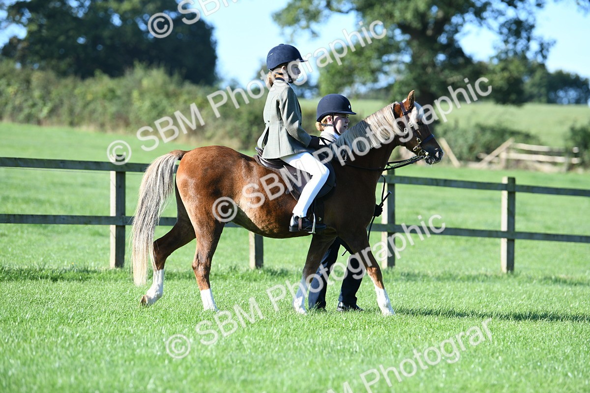 SBM_35292 - S17 - Condition & Turnout - Lead Rein