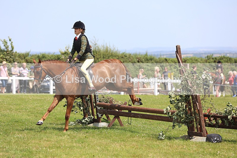 JPP_2576 - Class 21: Working Hunter 60cm