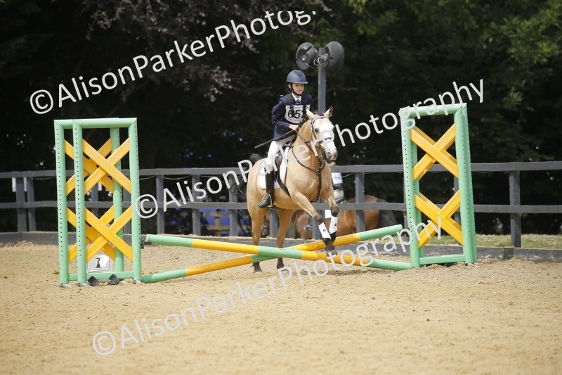 20250622-4646 - 50cm