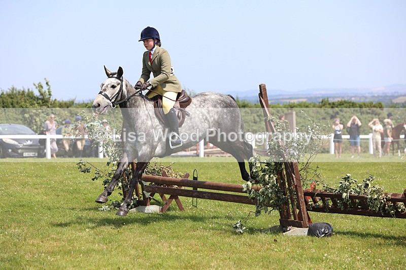 JPP_2474 - Class 21: Working Hunter 60cm
