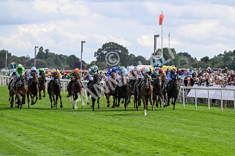 210826-Race 4-Bacio-6166 - Race 4 15.35pm Coolmore City Of Troy Nunthorpe Stakes