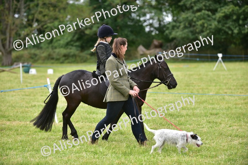 20260614-4533 - Class 19 - Cutest Pony, Rider and Dog Combination
