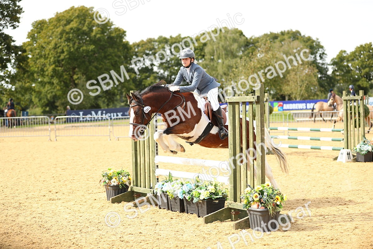 SBM_67133 - J17 - Junior Pony 80cm Championship