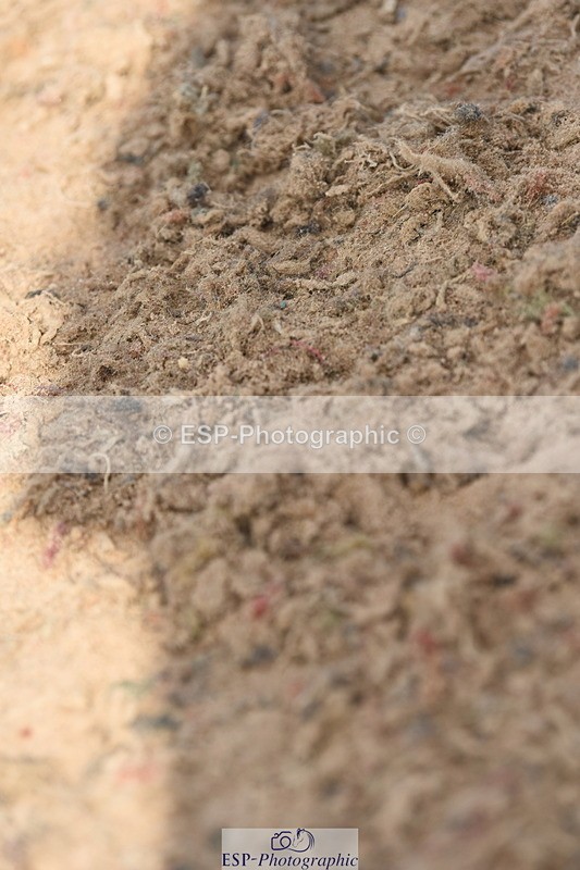 230915A-114804-00351 - Cls 9 British Novice & 90cm Open