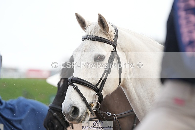 260131PC-142641-02181 - Cls 3 90cm