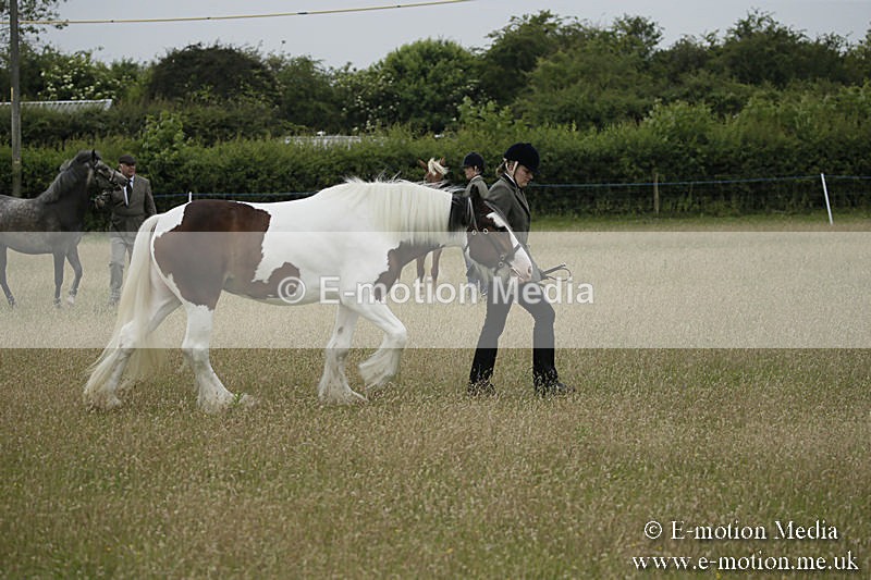 B230619-0070 - Bourne Valley Riding Club Summer Show 23/06/19