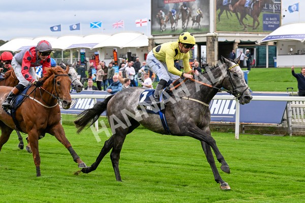 101025-Race 1-Ice Max-0063 - Race 1 William Hill Autumn Mile Handicap at York