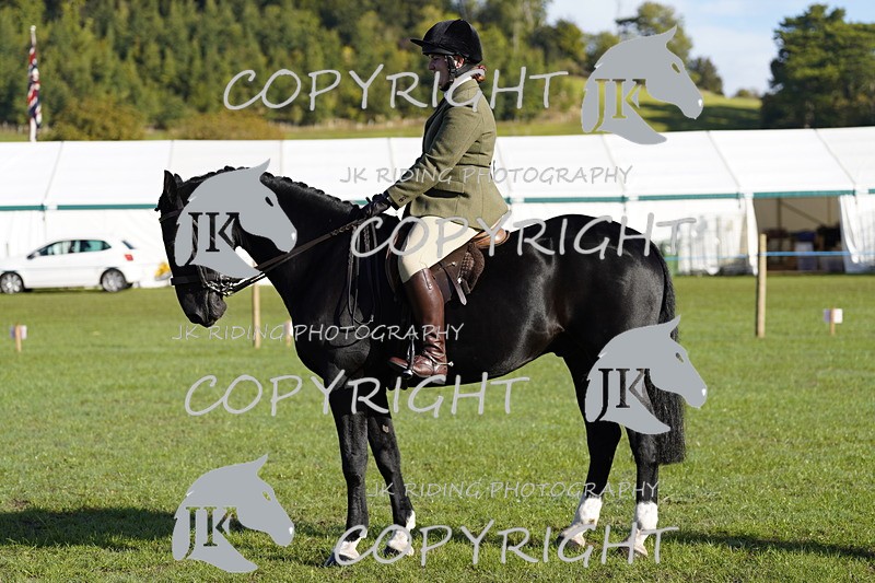 _DSC9435 - Class 8 & 17 Ridden Hunter & Ridden Hunter Pony