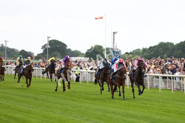 yr11062022r2-74 - Race 2 2.00pm Queen Mother's Cup