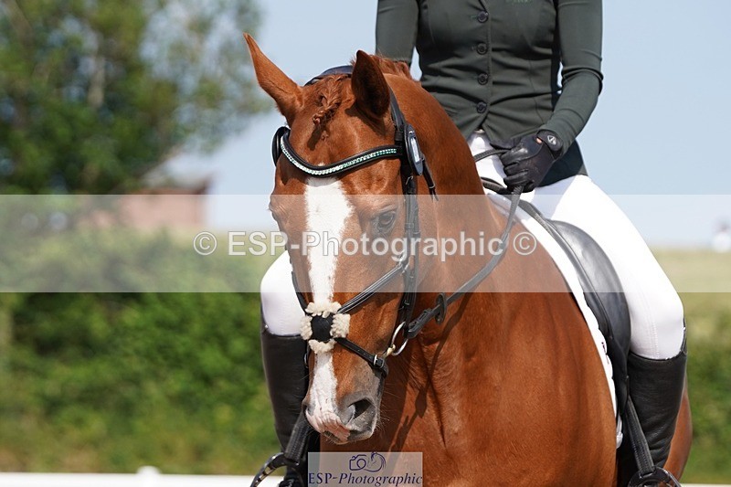 250621-163554-09736 - RoR Cls 4b-4c, Prelim