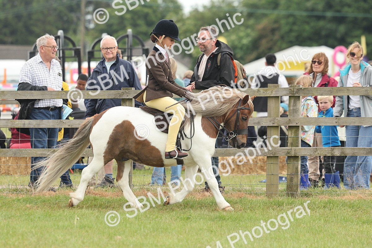 SBM_08890 - Class 78-80 - Ridden M&M Non Welsh Ponies