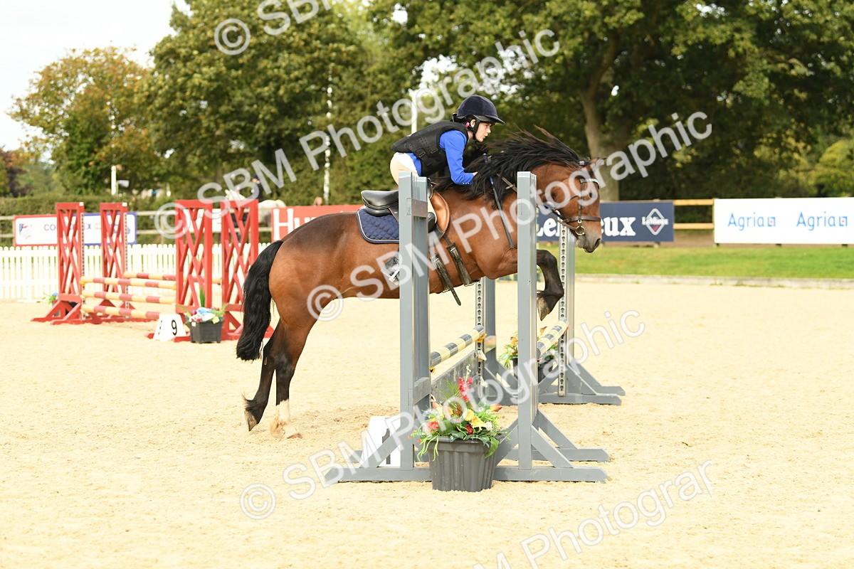 SBM_71137 - J15 - Junior Pony 70cm Championship