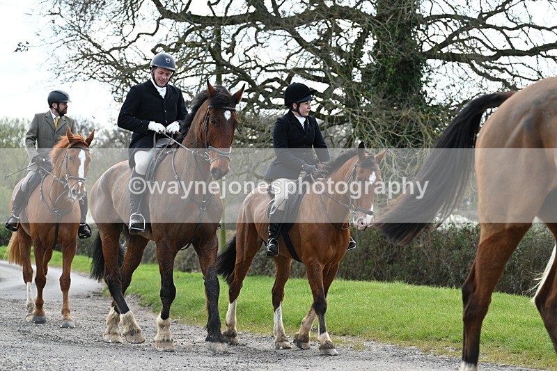 WJ7_9886 - Walk Home