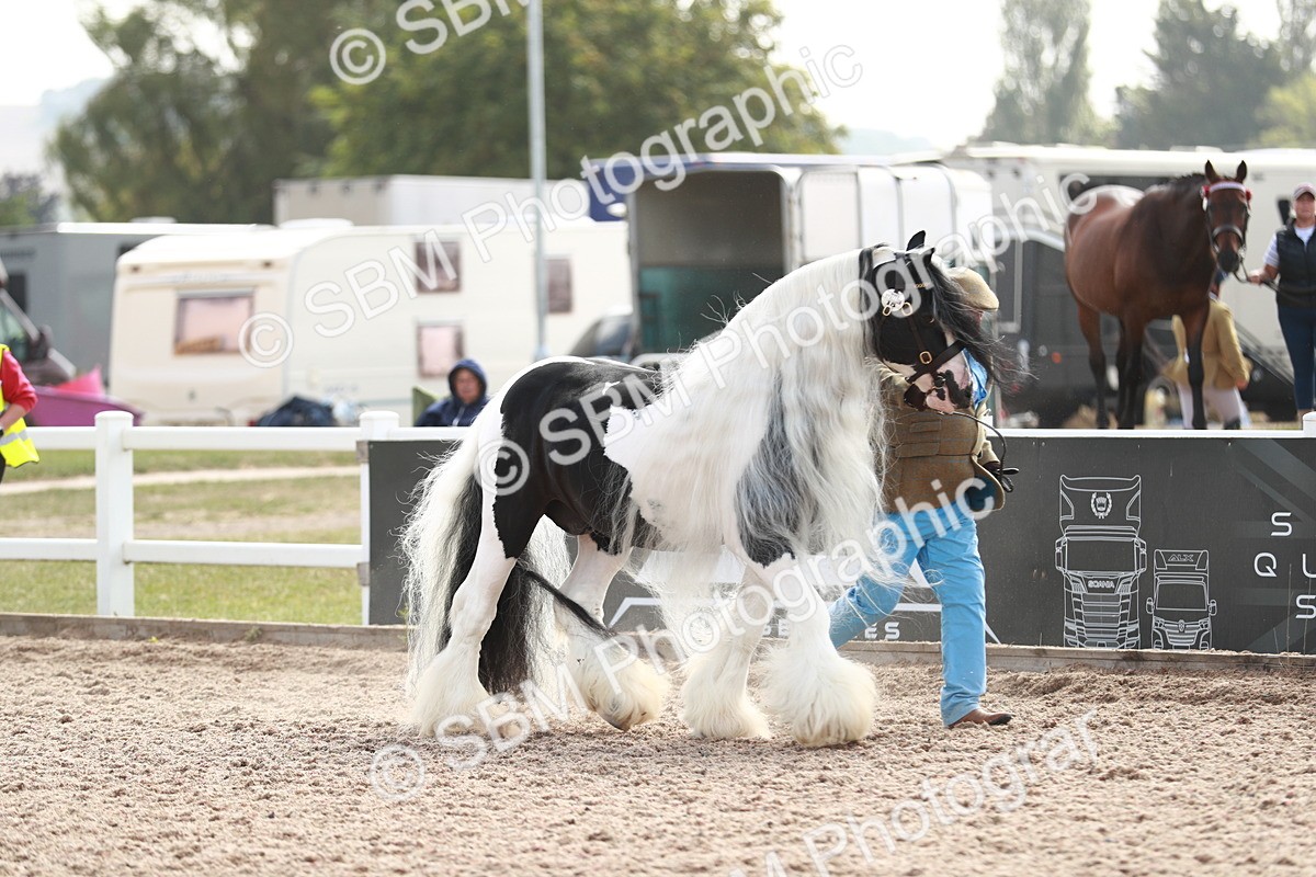 SBM_13880 - Class 209 IH Veteran Pony