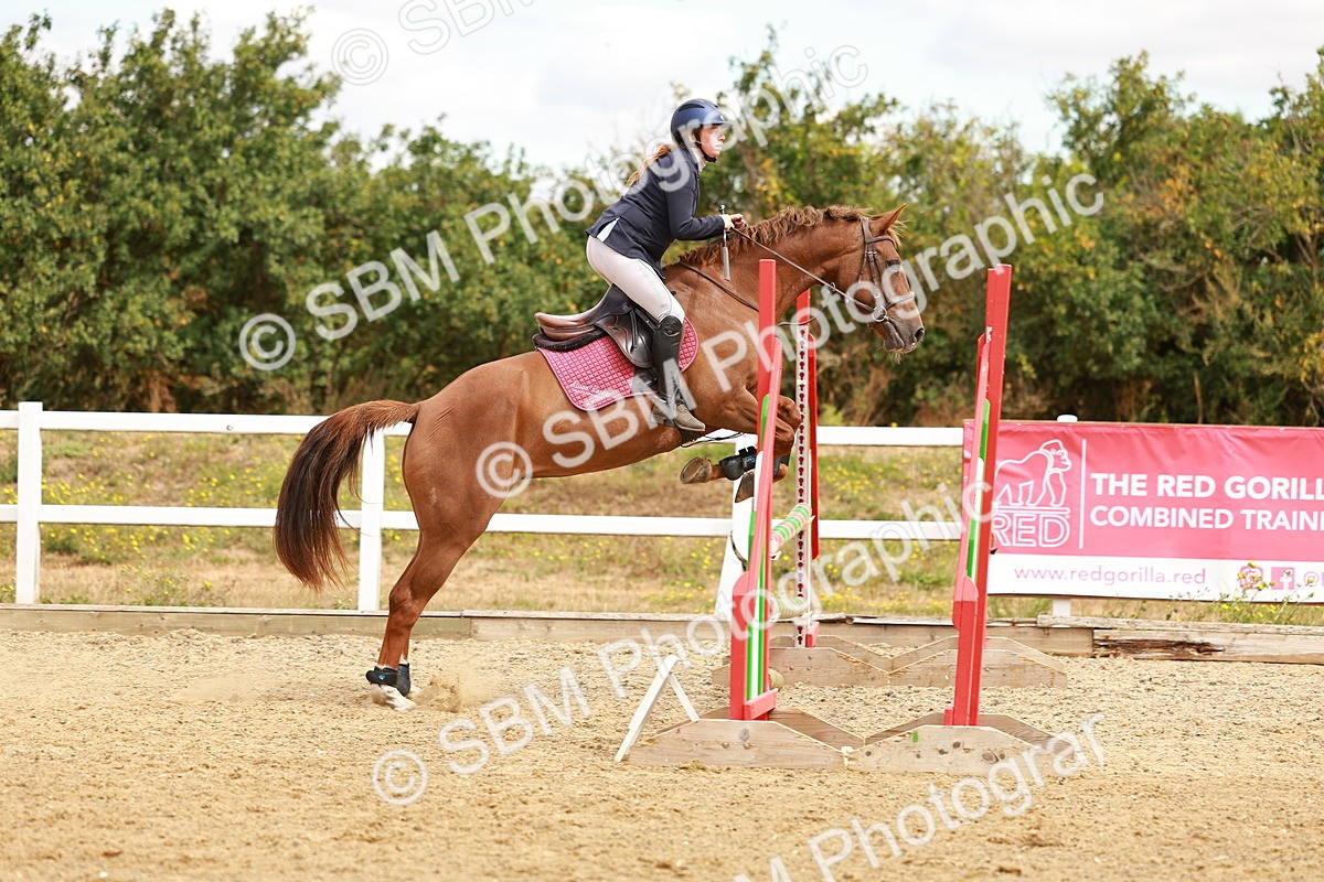 SBM_005397 - Class 2 - Senior British Novice - 90cm