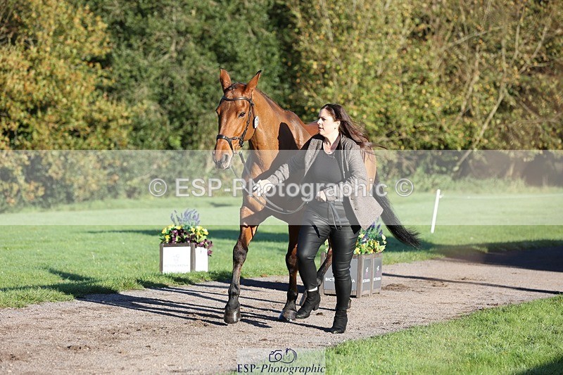 241027-085237-14868 - 376-Rachael.Hardman-WHIPPLETREE.HAILEYS.COMET