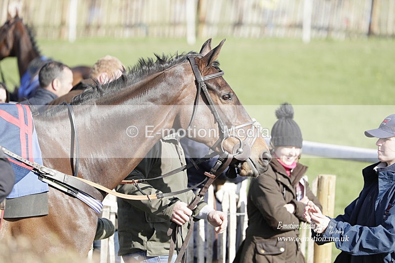 PtP 100423 986 - Old Berkshire Point-to-Point Lockinge 10/04/23