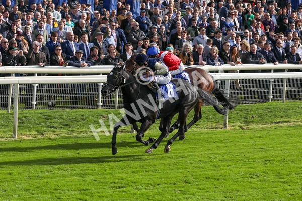 141023-Race 1-Purosangue-0283 - Race 1 1.15pm Coral Rockingham Stakes