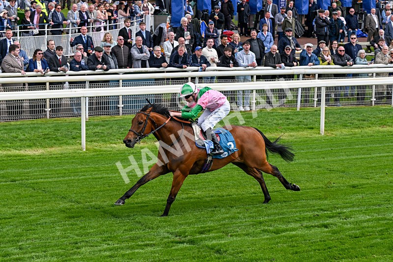 140526-Race 2-Jakajaro-0090 - Race 2 2.20pm Lindum York Handicap