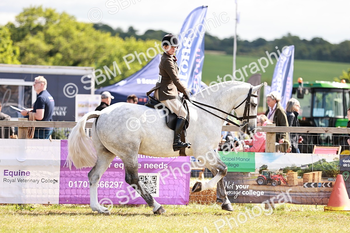 SBM_14013 - Class 85-87 - RIHS Cobs