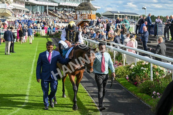 230824-Race 7-Treasure Time-0161 - Race 7 5.20pm Sky Bet Mile Handicap