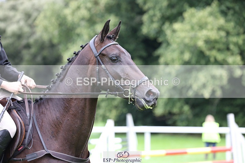 230805-111626-00698 - SJ 11 to 11.55