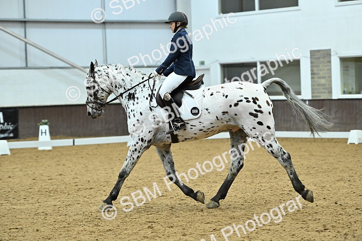 SBM_007510 - Class 81 - Novice 3