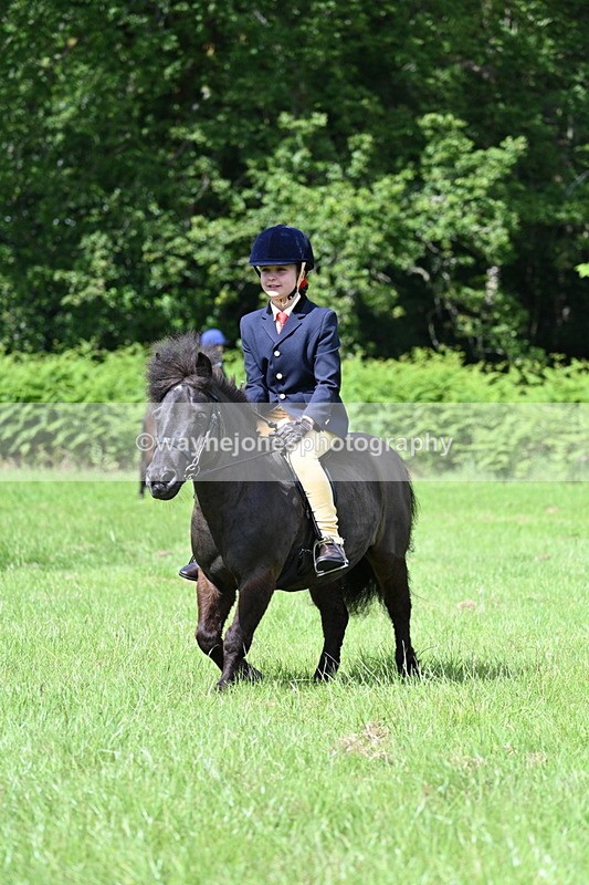 WJ7_1258 - Class 11 Condition & Turnout