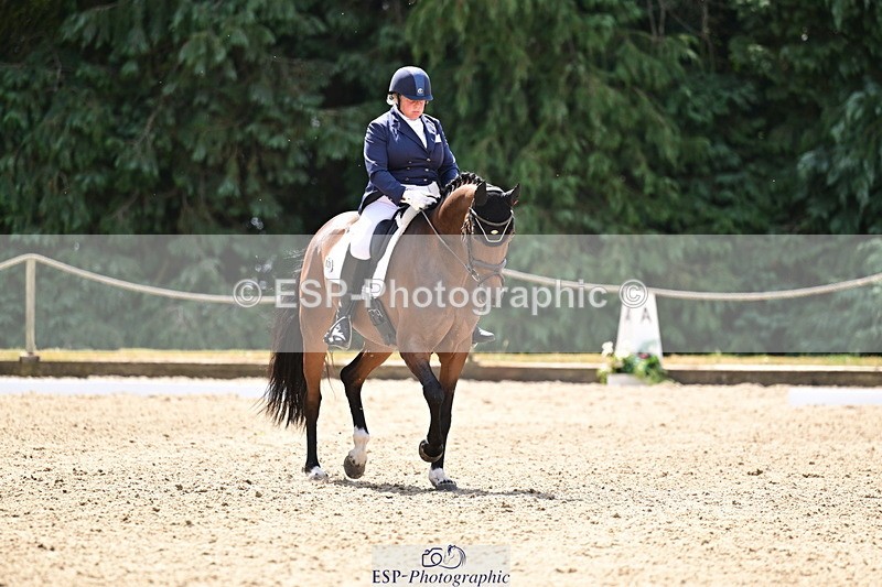 260802A-120951-06113 - Novice Silver break- end