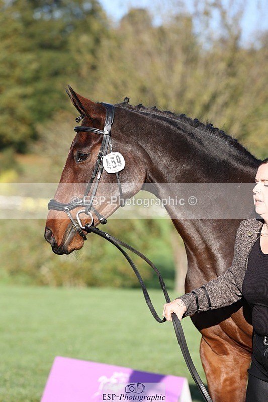 241027-085342-14879 - 459-Rachael.Hardman-I.M.ALL.YOU.WANT