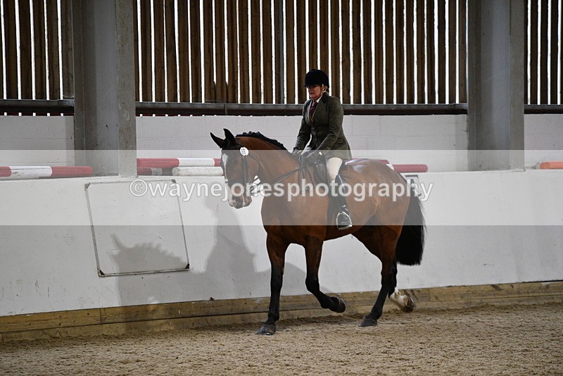 WJ5_8997 - Class 15 Ridden Show Horse