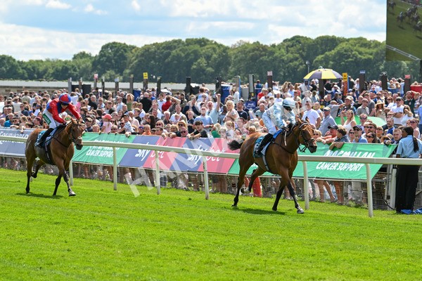 140625-Race 2-My Dream World-2301 - Race 2 2.25pm Queen Mother's Cup Handicap