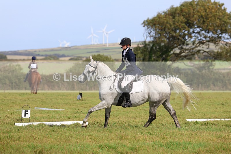 3E7A6322 - Class 1: Trebudannon Open: Dressage (Part 2)