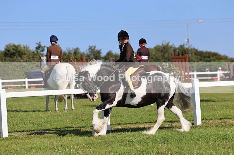 IMG_1528 - Class 30: Ridden Native/Trad Coloured Pony