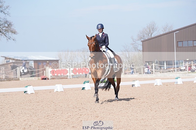 250404-122940-05667 - 028-Elizabeth.Allen-Heraldik